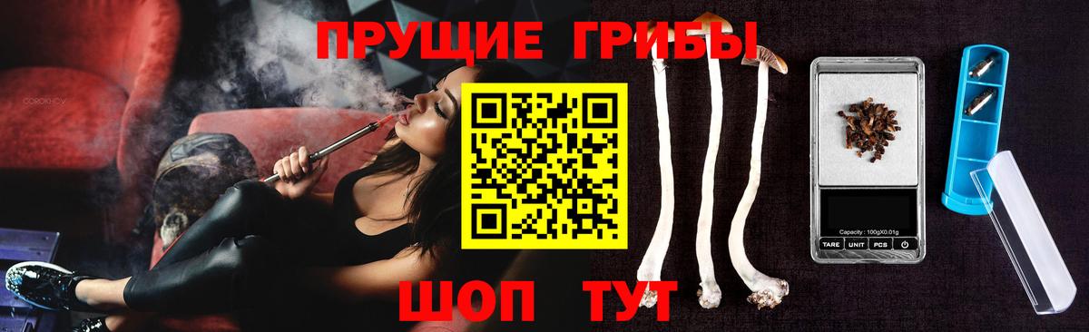 Гусь-Хрустальный  Псилоцибиновые грибы MAGIC MUSHROOMS  Вход с VPN 
